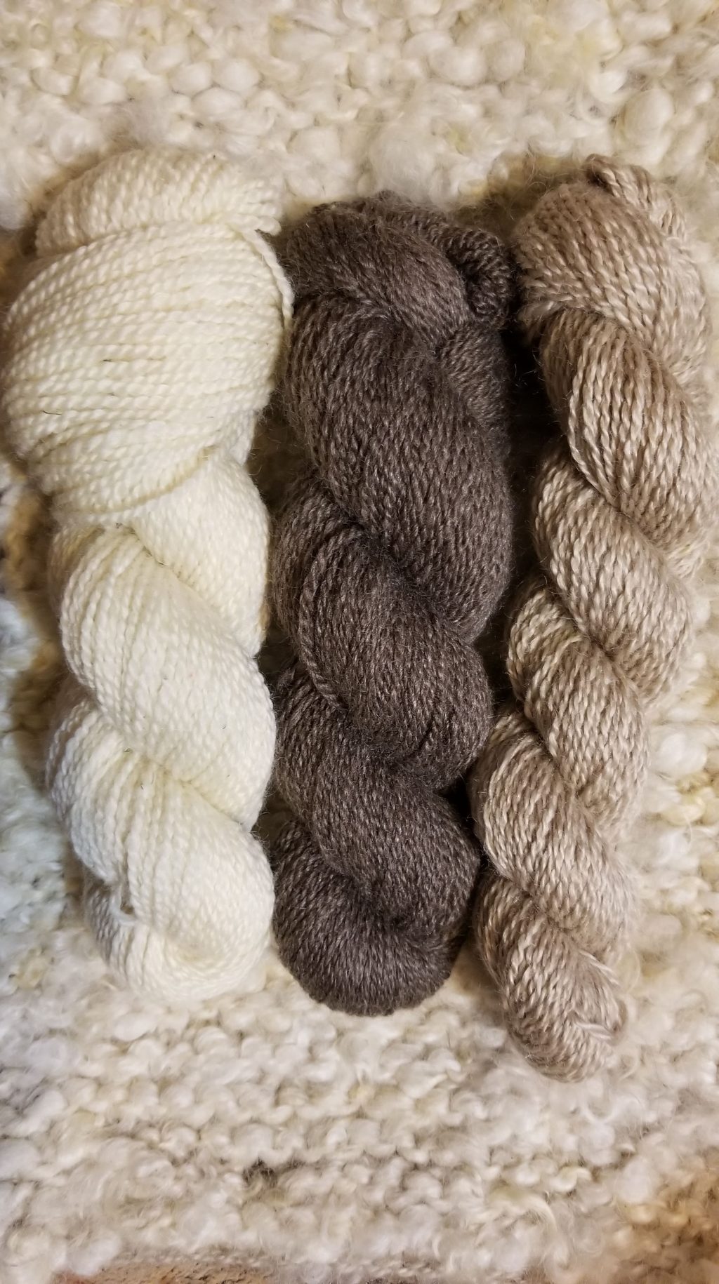 New! Yarns From Our&nbsp;Farm